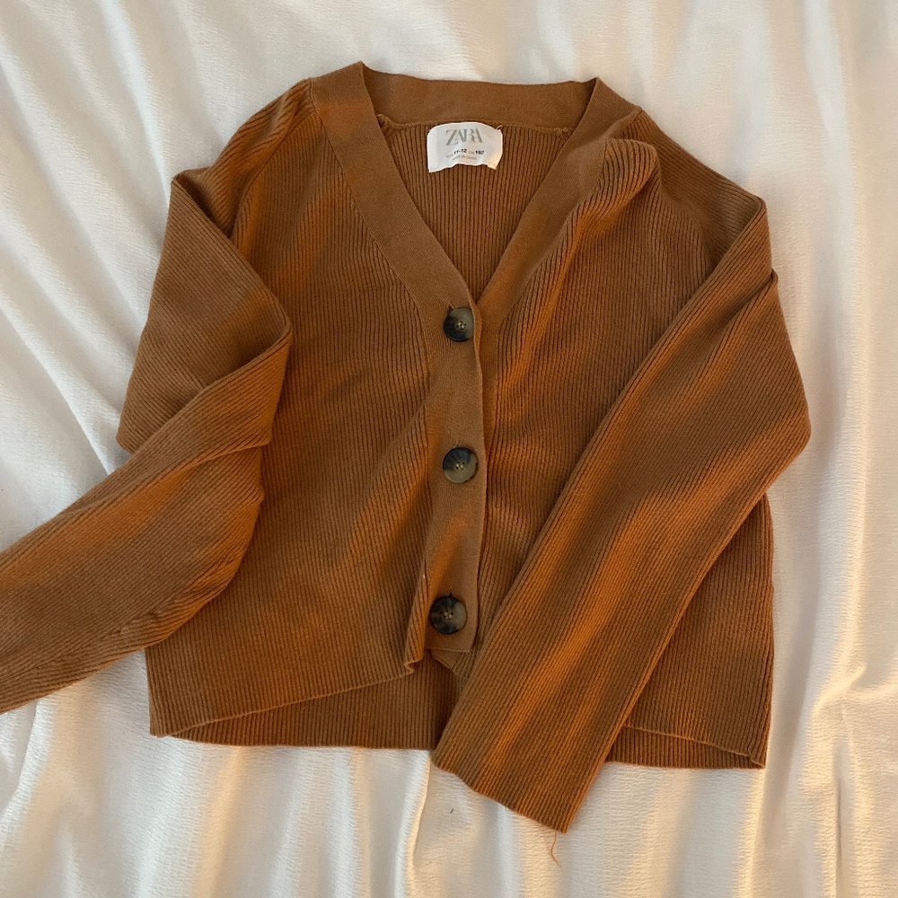 New Brown Zara Button Down
